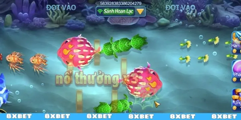 Mẹo săn cá khổng lồ trong sảnh đặc quyền